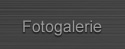 Fotogalerie
