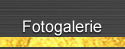 Fotogalerie