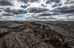 Spaziergang auf erkalteter Lava