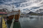 im sicheren Hafen